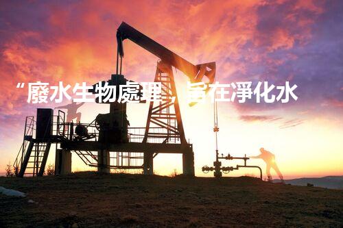 “廢水生物處理，旨在凈化水源，守護碧水藍天”